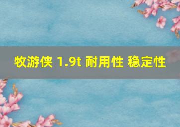 牧游侠 1.9t 耐用性 稳定性